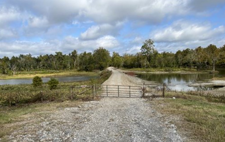 Details About Hunting Land for Sale in Louisiana