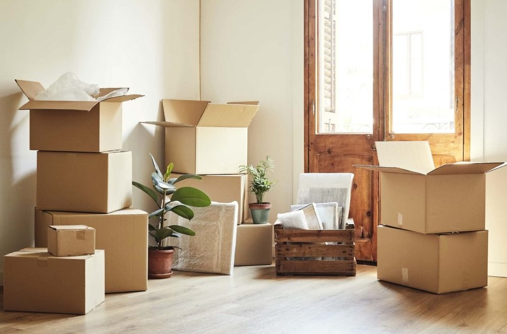 The Art of Stress-Free Moving: Tips and Tricks